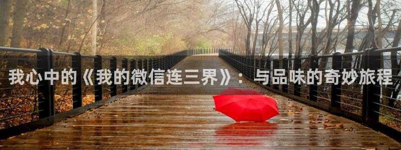 yy漫画韩：我心中的《我的微信连三界》：与品味的奇妙旅程